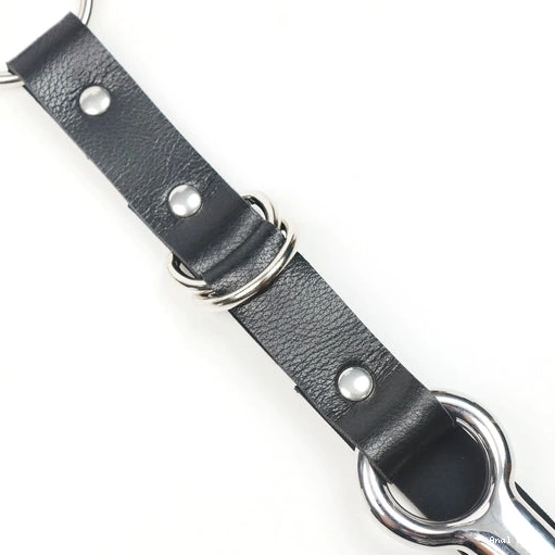 Anal Hooks and 5853 Collar Leash with Anal EverydayUse Kinky Hook 1006